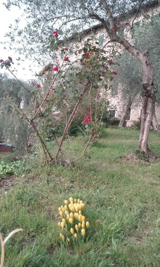 B&B Villa Candoras Malcesine Exteriör bild